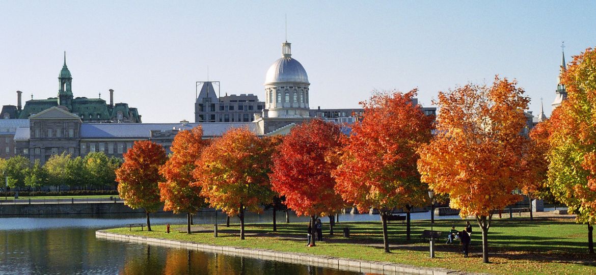 Marché_Bonsecours_and_Foliage