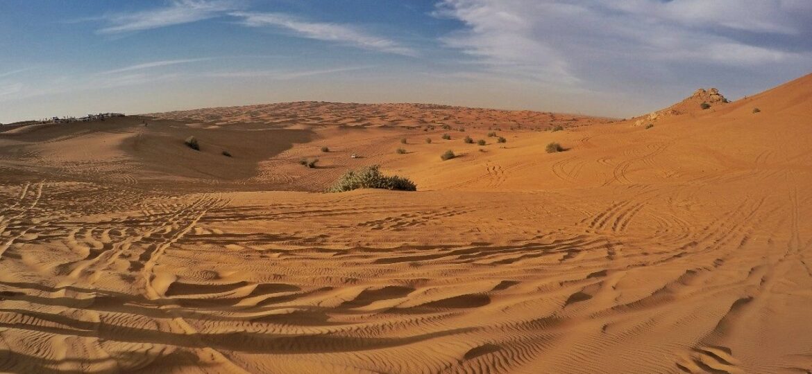 ca65e13d-e4ed-430b-b179-a82574c8bbff