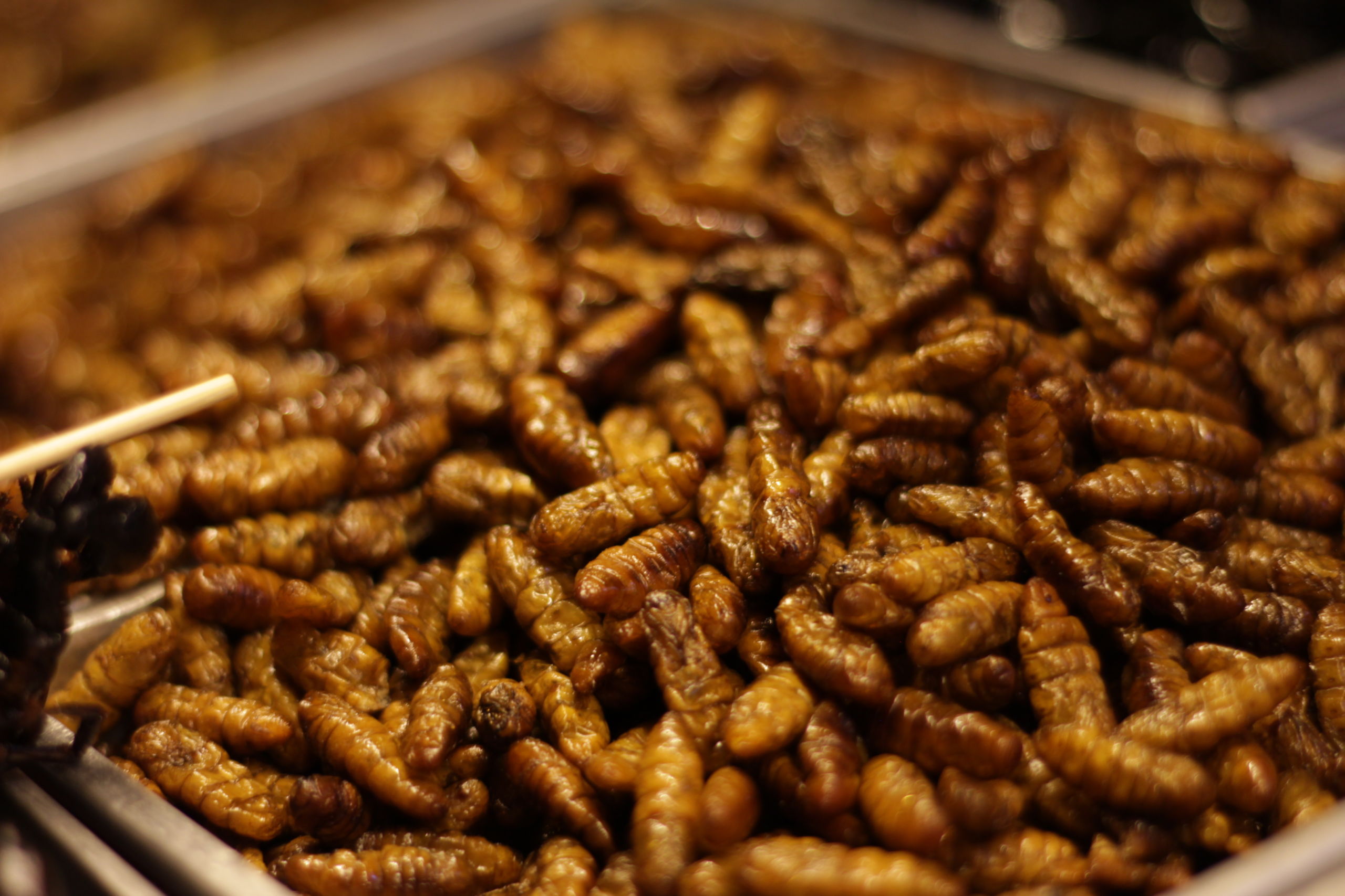 A culinária de Bangkok – Tailândia l Ep.2