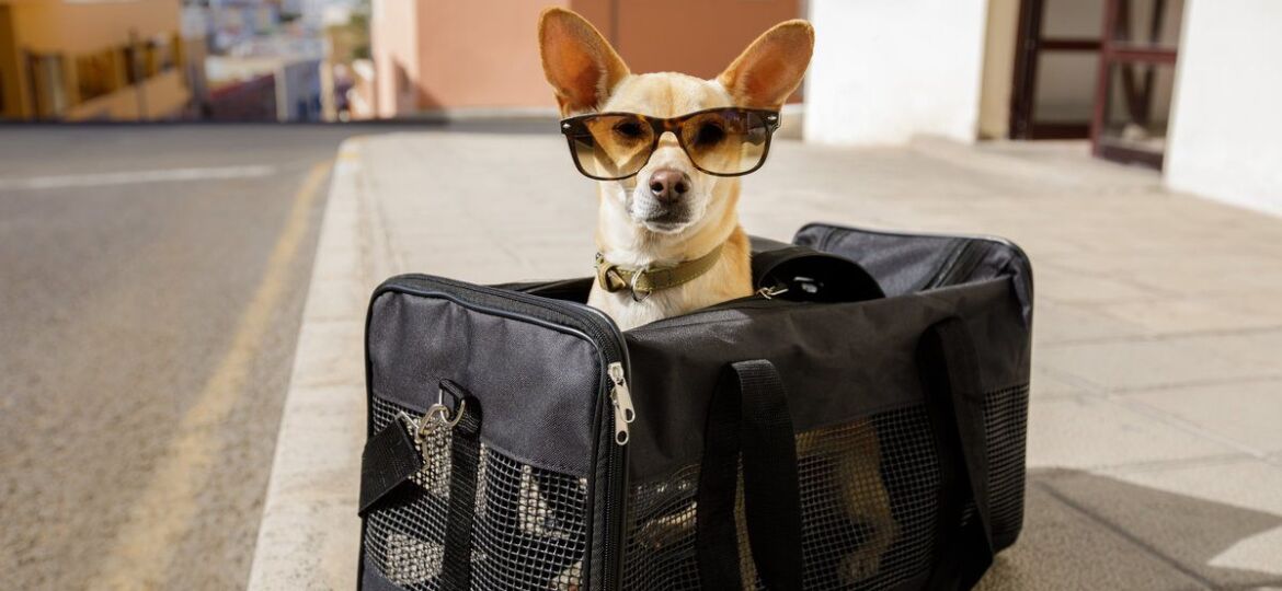 5863ff5f0a3f479b87325107c0d486be